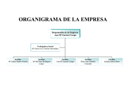 ORGANIGRAMA DA EMPRESA CASTELLANO