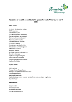 A selection of possible special butterfly species for South Africa tour