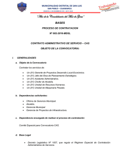bases proceso de contratacion nº 001-2015