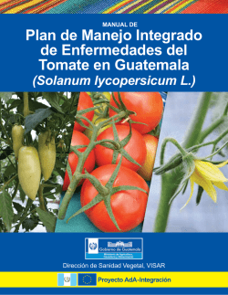 Plan de Manejo Integrado de Enfermedades del Tomate en