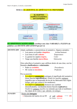 Tema 8. El adjetivo, el artículo y el pronombre