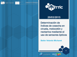 Índices de cosecha en ciruela Fortune