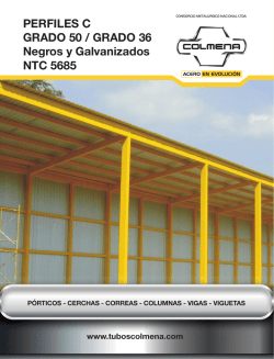 PERFILES C GRADO 50 / GRADO 36 Negros y