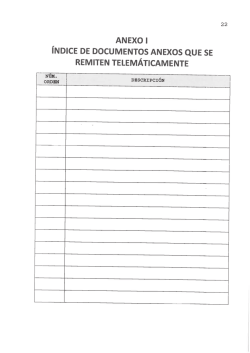 índice de documentos anexos que se remiten telemáticamente