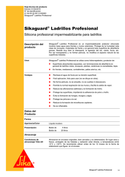 Sikaguard® Ladrillos Profesional