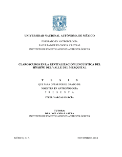 Itzel Vargas Garc&iacute;a, Claroscuros en la revitalizaci&oacute;n