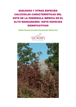 estudio sobre presencia de quejigo y otras especies