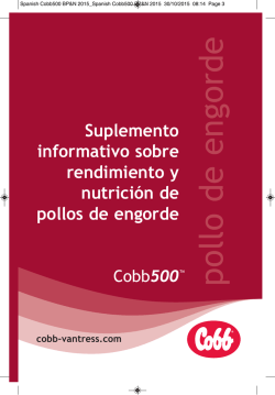pollo de engorde - Cobb