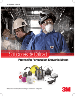 Descarga - Seguridad Industrial