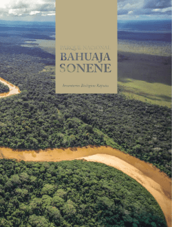 Parque Nacional Bahuaja Sonene