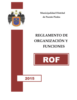 reglamento de organización y funciones 2015