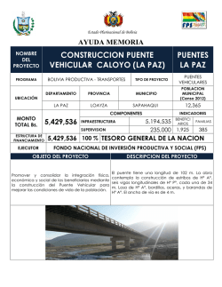 CONSTRUCCION PUENTE VEHICULAR CALOYO (LA PAZ