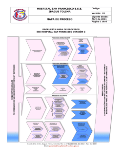 hospital san francisco ese ibague tolima mapa de proceso