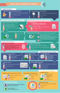 PASOS PARA EL REGISTRO DE MARCAS - E