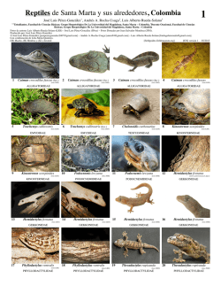 Reptiles de Santa Marta y sus alrededores, Colombia
