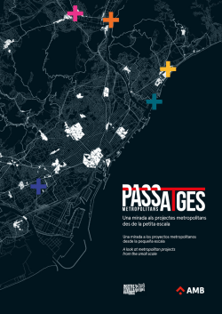 Una mirada als projectes metropolitans des de la petita escala