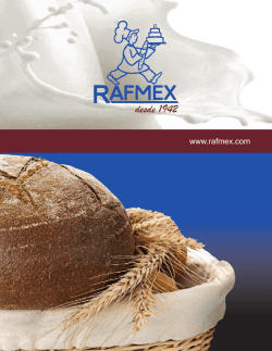 Cat&aacute;logo Completo