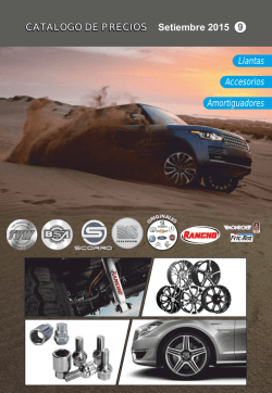 catalogo llantas amortiguadores y accesorios