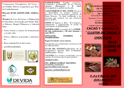 “CLUSTER DEL CACAO Y CHOCOLATE EN LA CADENA DE
