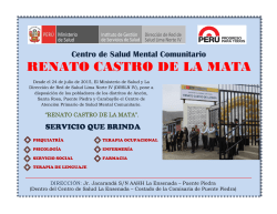 RENATO CASTRO DE LA MATA - Red de Salud Lima Norte IV