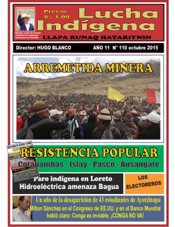 Lucha-Indigena-110