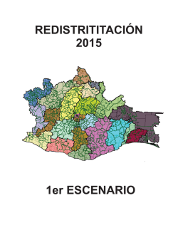 redistritacion 2015 con municipios 1er escenario-2