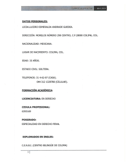 licda. lucero esmeralda andrade guedea