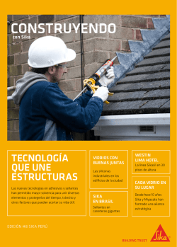 CONSTRUYENDO