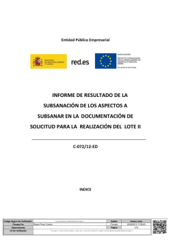 Informe resultado subsanación Lote II