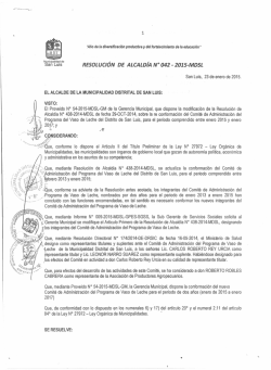 Resolucion N   042 - Municipalidad Distrital de San Luis