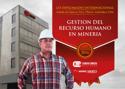 DV17-gestion-del-recurso-humano-en-mineria