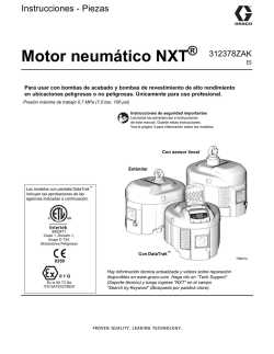 312378ZAK - NXT Air Motor, Instructions