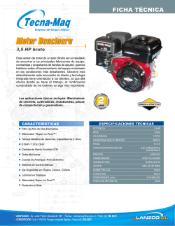 Motores bencineros Briggs & Stratton