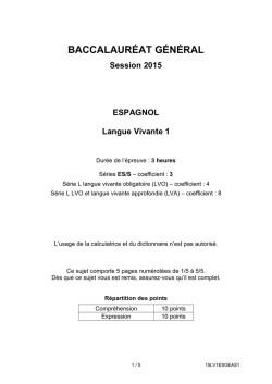Sujet du bac S-ES-L Espagnol LV1 2015 - Am. du Sud
