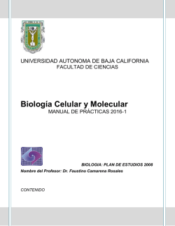 Manual de laboratorio
