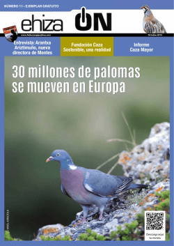 30 millones de palomas se mueven en Europa