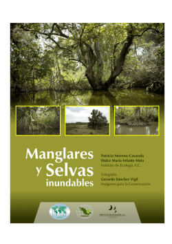 las selvas inundables - Observatorio Islas del Rosario y San Bernardo