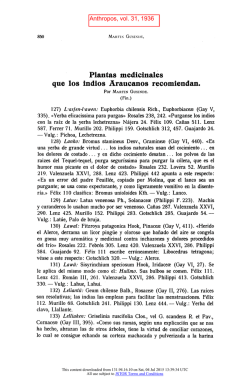 Plantas medicinales que los indios Araucanos recomiendan.