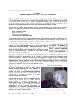Capítulo 6 Medidas de Producción más Limpia, en curtiembres