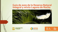 Guía de Aves de la Reserva Natural Laguna de Rocha