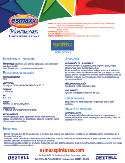 Esmaxx pinturas s.a de c.v.