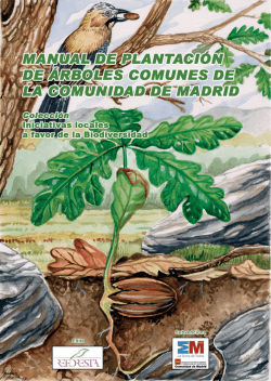 Plantaci&oacute;n de &aacute;rboles comunes de la Comunidad de