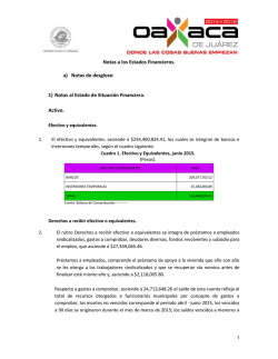 8 Notas a los estados financieros