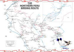 THE NORTHERN PERU BIRDING ROUTE