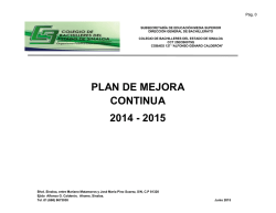 PLAN DE MEJORA CONTINUA 2014 - 2015