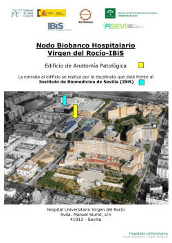 Nodo Biobanco Hospitalario Virgen del Rocío-IBiS