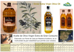 Dintel Virgen Extra / Dintel Extra Virgin Olive Oil Aceite de Oliva