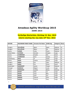 Amadeus Agility Worldcup 2015
