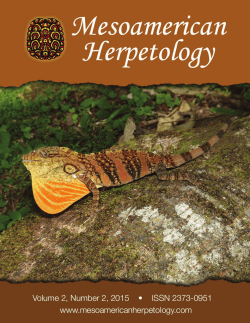 view / - Mesoamerican Herpetology