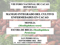 Manejo Integrado del Cultivo, Fabio Aranzazu
